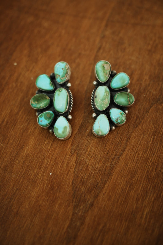 Sonoran Golden Clusters