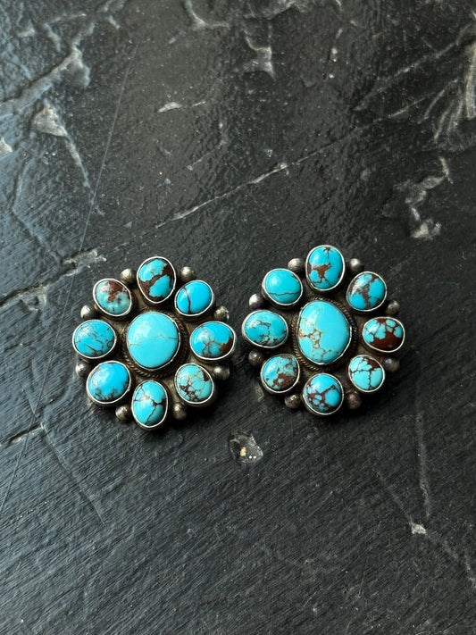 Egyptian Turquoise Cluster Earrings